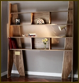 coffin-bookcase-pic